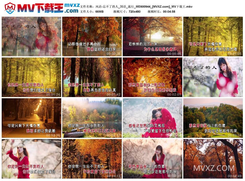 风语-忘不了的人_国语_流行_ME600944